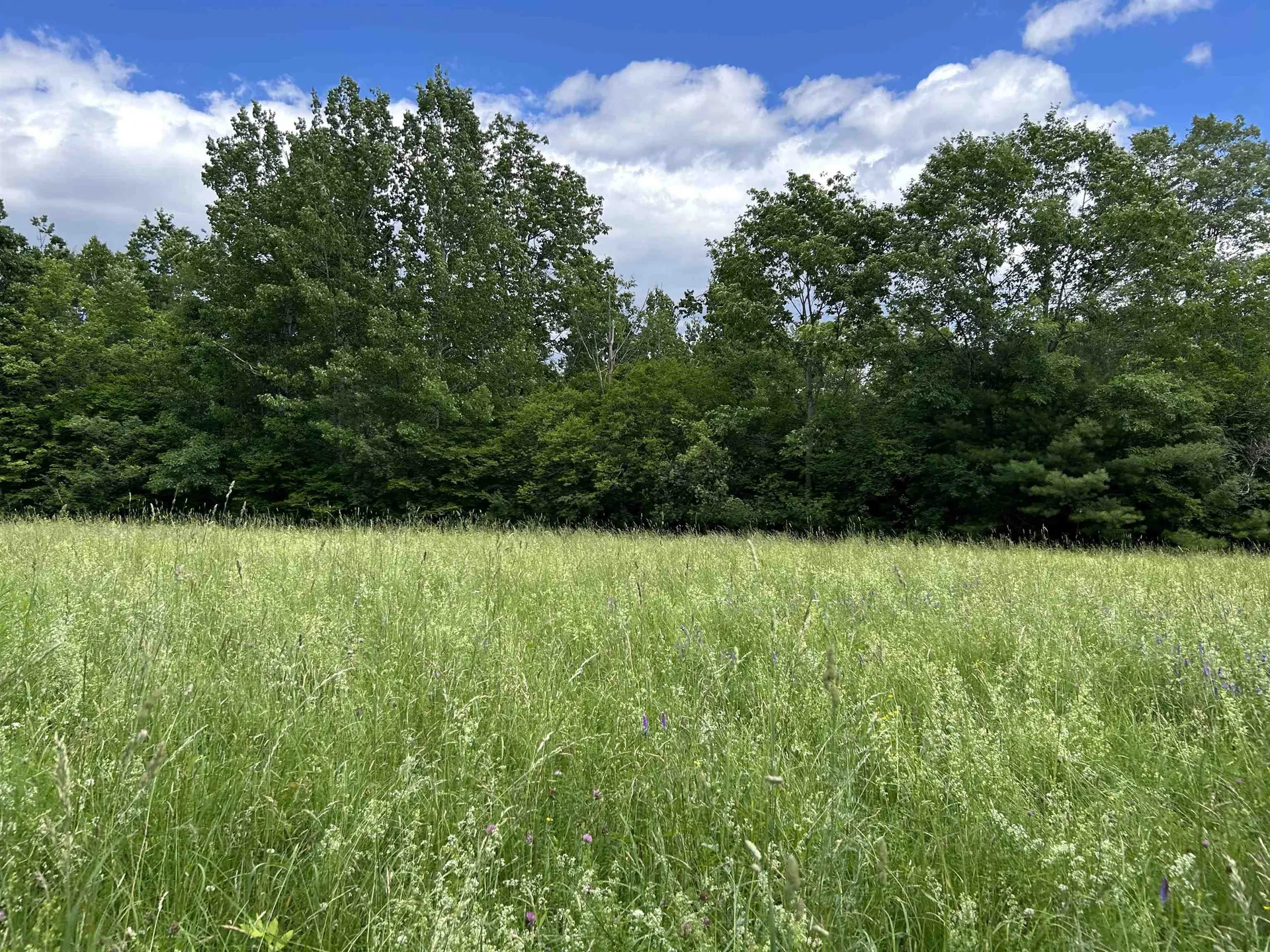 4 Cutler Road Plainfield NH 03781