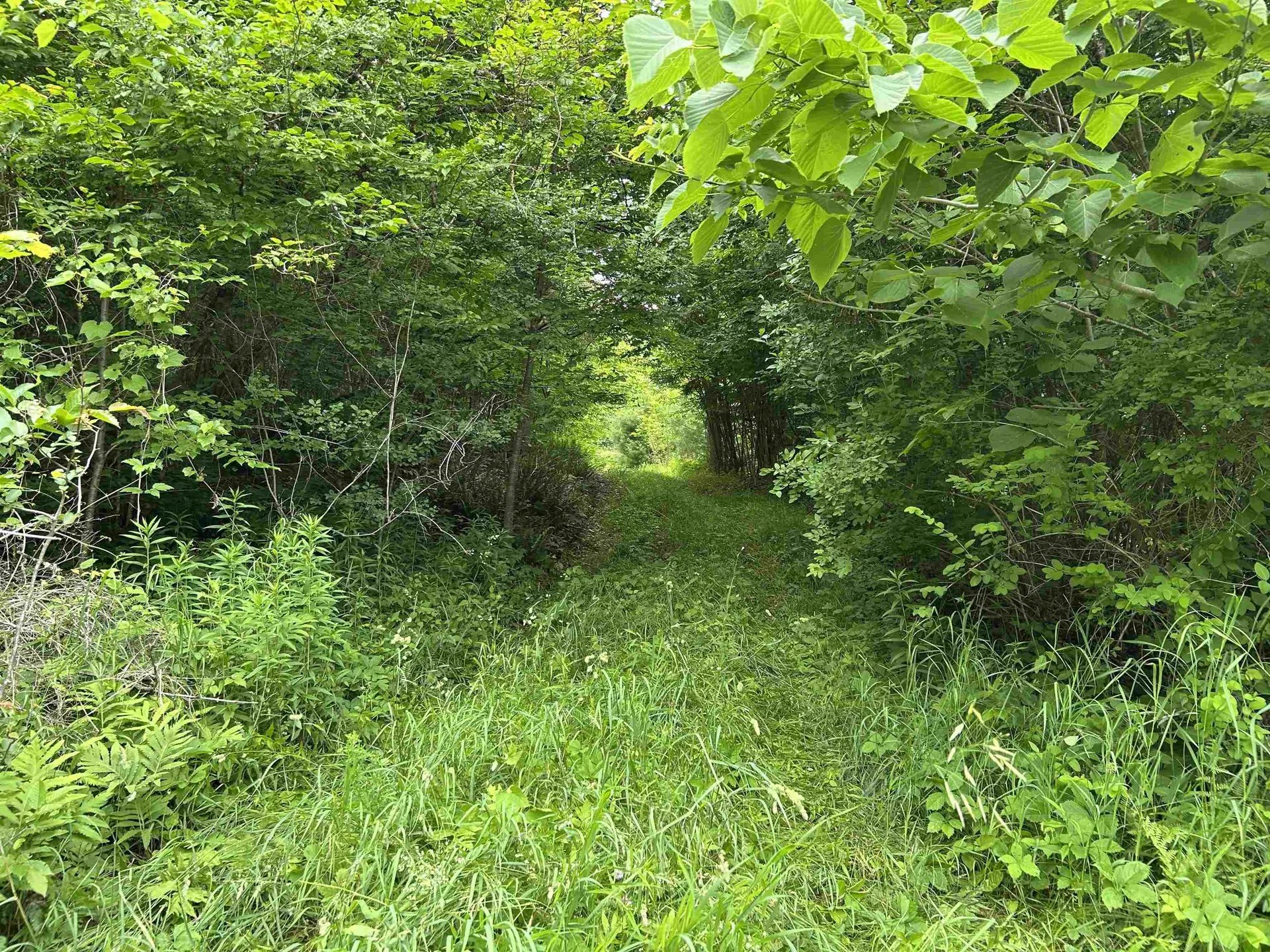 4 Cutler Road Plainfield NH 03781