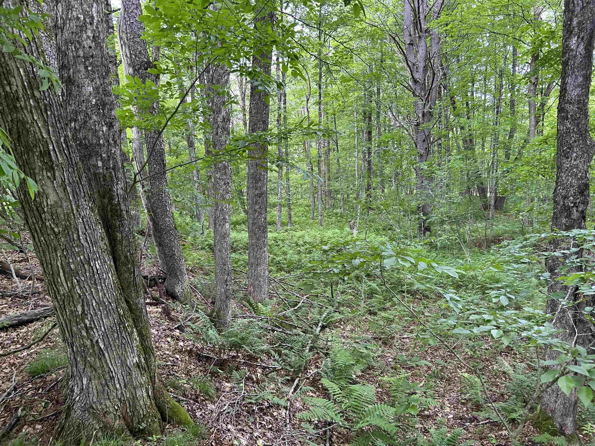 4 Cutler Road Plainfield NH 03781
