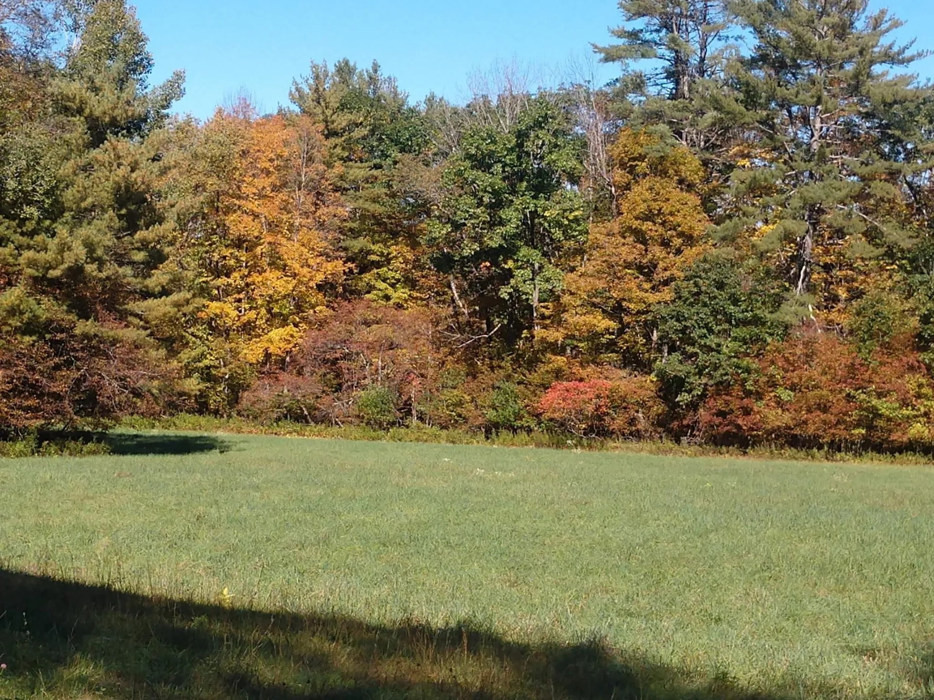 4 Cutler Road Plainfield NH 03781