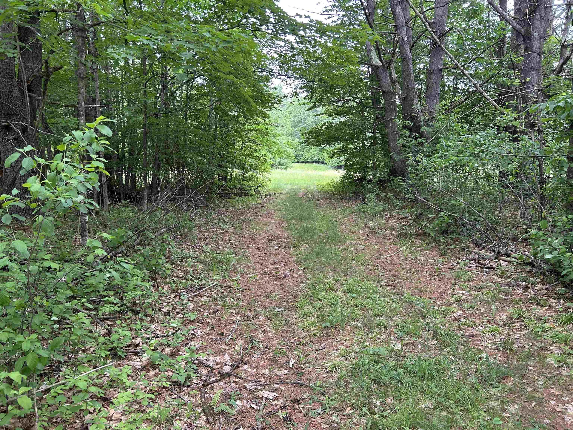 4 Cutler Road Plainfield NH 03781