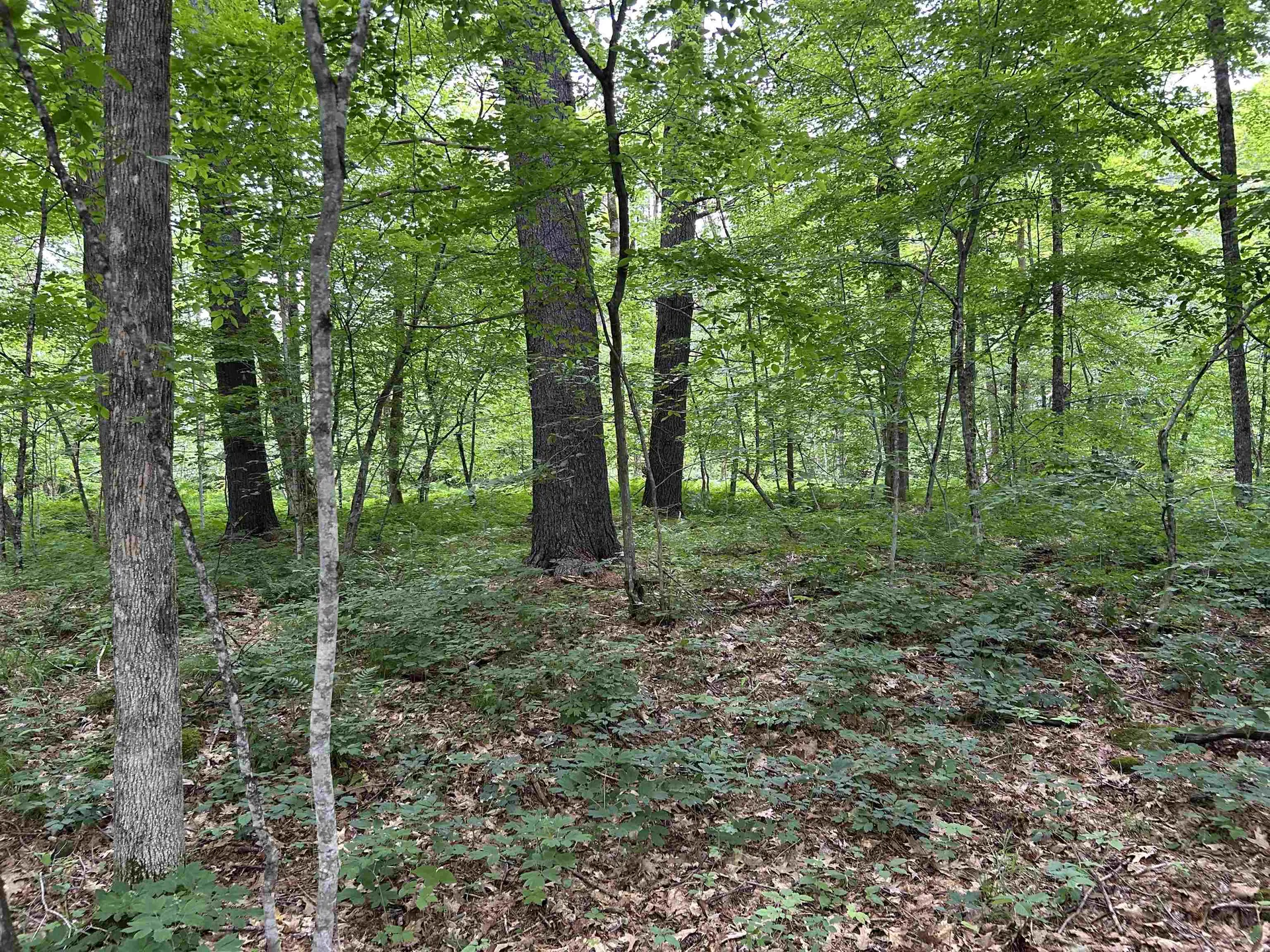 4 Cutler Road Plainfield NH 03781