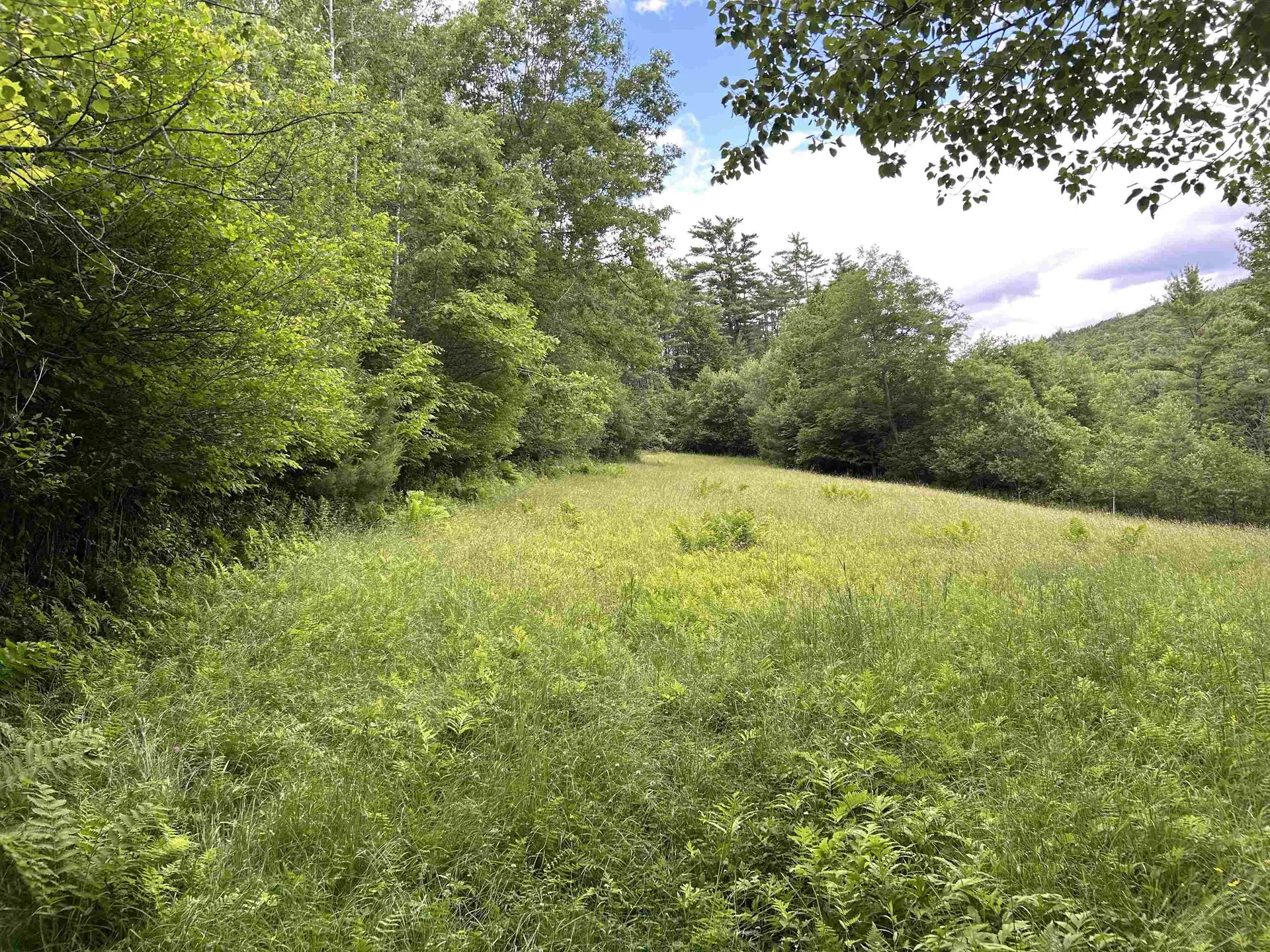 4 Cutler Road Plainfield NH 03781