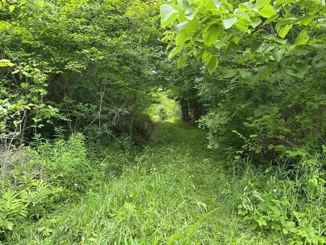 4 Cutler Road Plainfield NH 03781