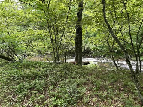4 Cutler Road Plainfield NH 03781
