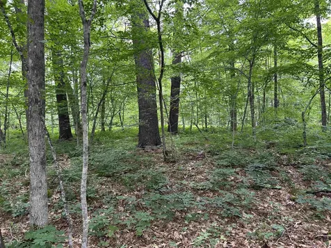 4 Cutler Road Plainfield NH 03781