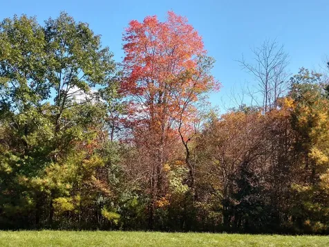 4 Cutler Road Plainfield NH 03781