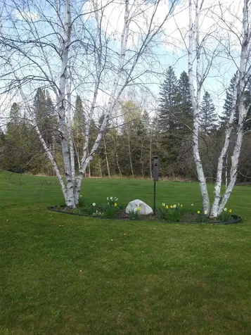 1851 Valley Road Derby VT 05830