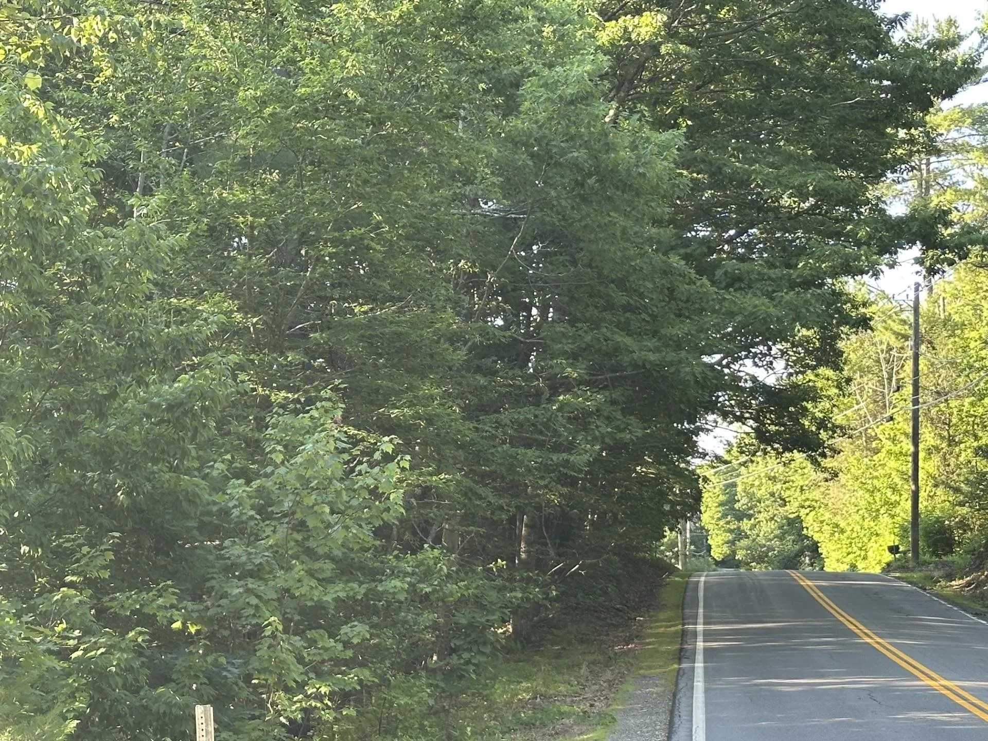 00 Drake Hill Road Strafford NH 03884