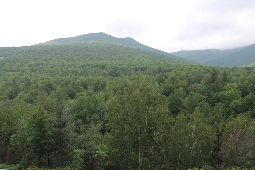 90 Loon Mountain Road Lincoln NH 03251