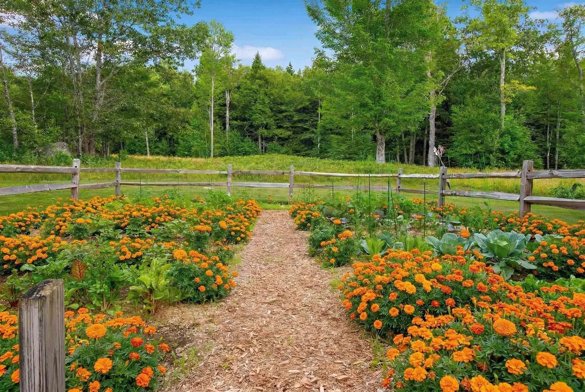 35 Wilmot Center Road Wilmot NH 03287