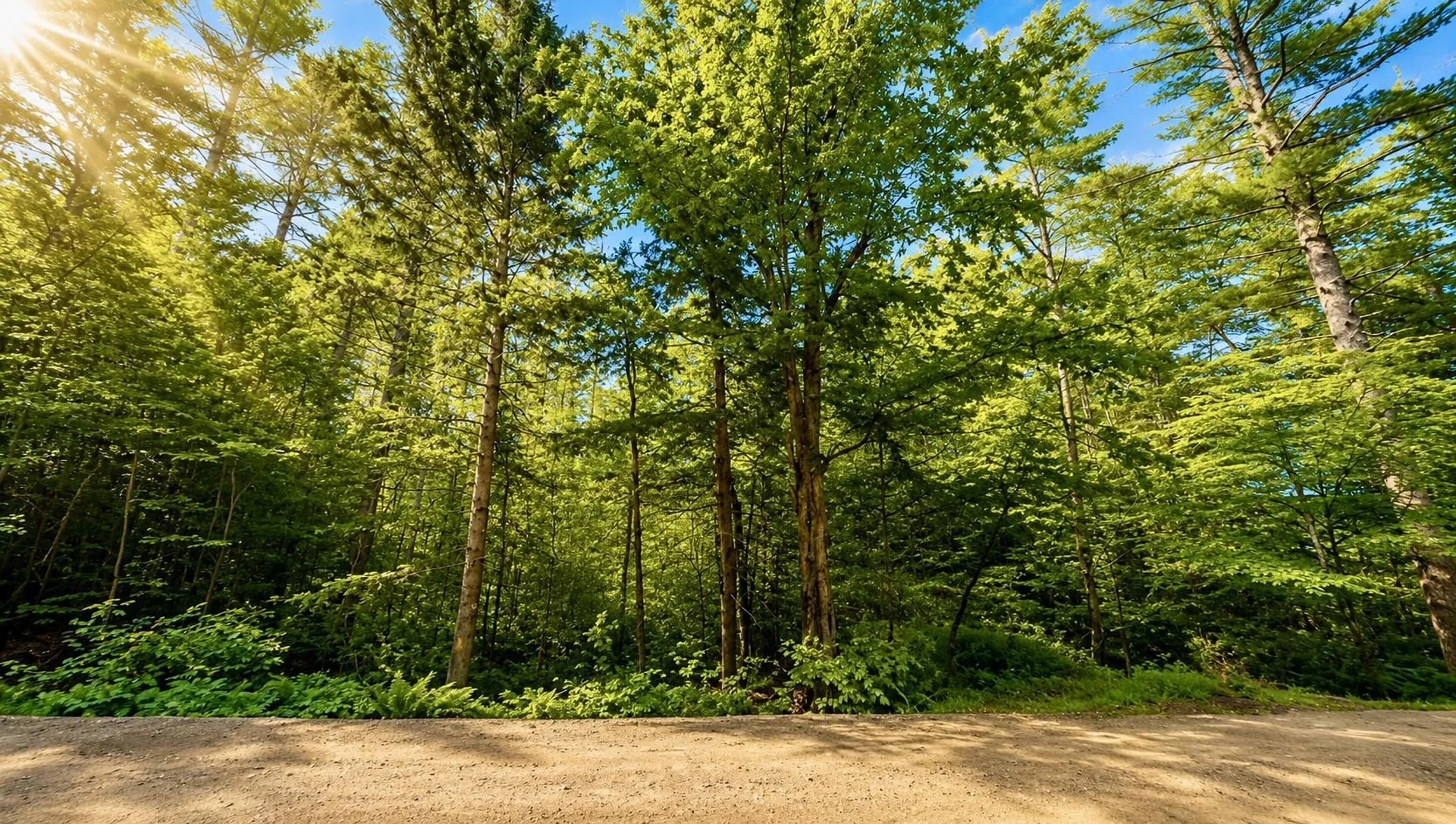 Lot 260-15 2nd Nh Turnpike New Boston NH 03070
