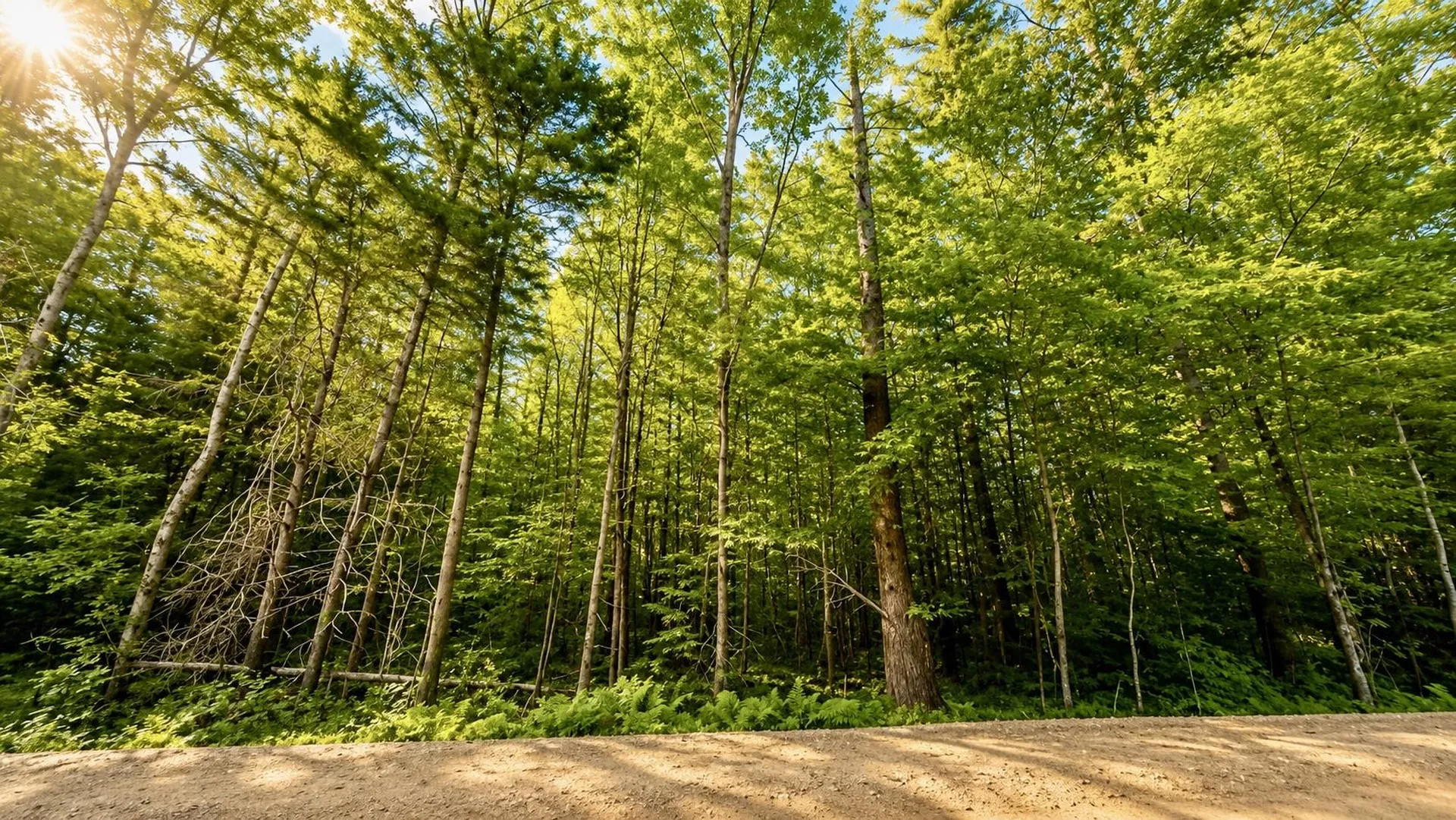 Lot 260-15 2nd Nh Turnpike New Boston NH 03070
