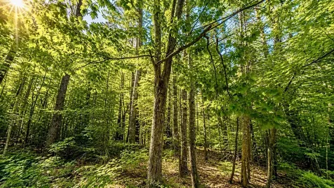 Lot 260-15 2nd Nh Turnpike New Boston NH 03070