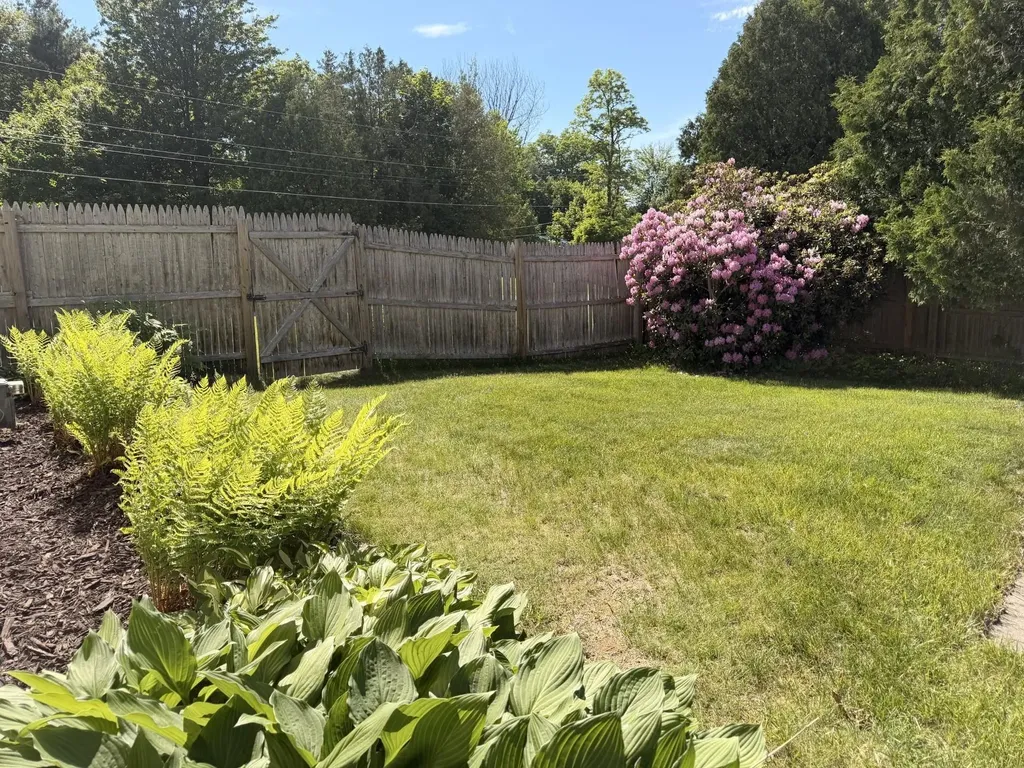 336 Birchwood Drive Colchester VT 05446