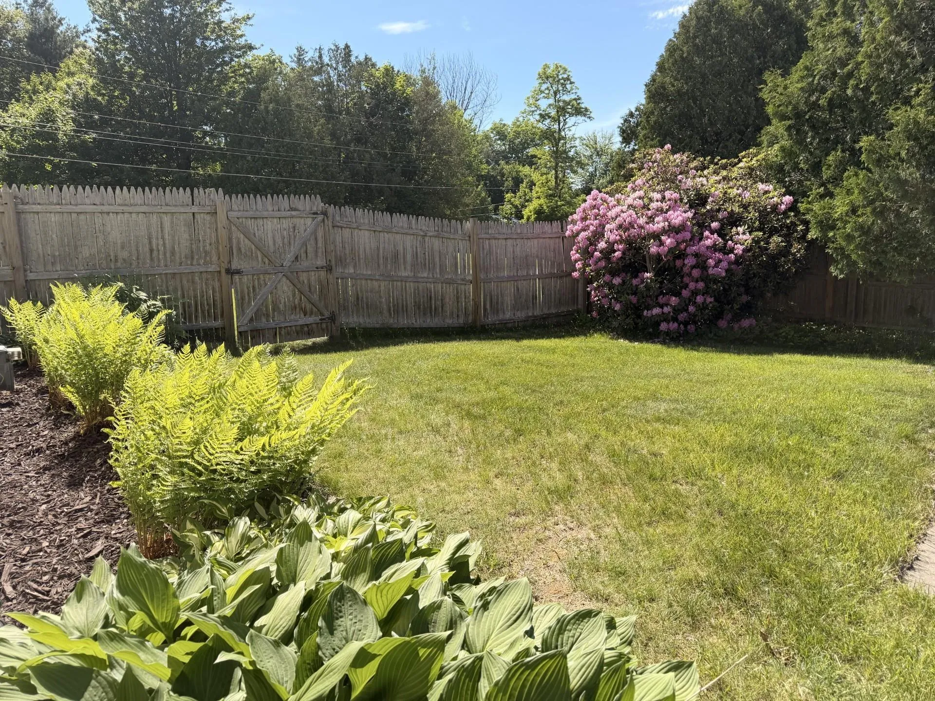 336 Birchwood Drive Colchester VT 05446