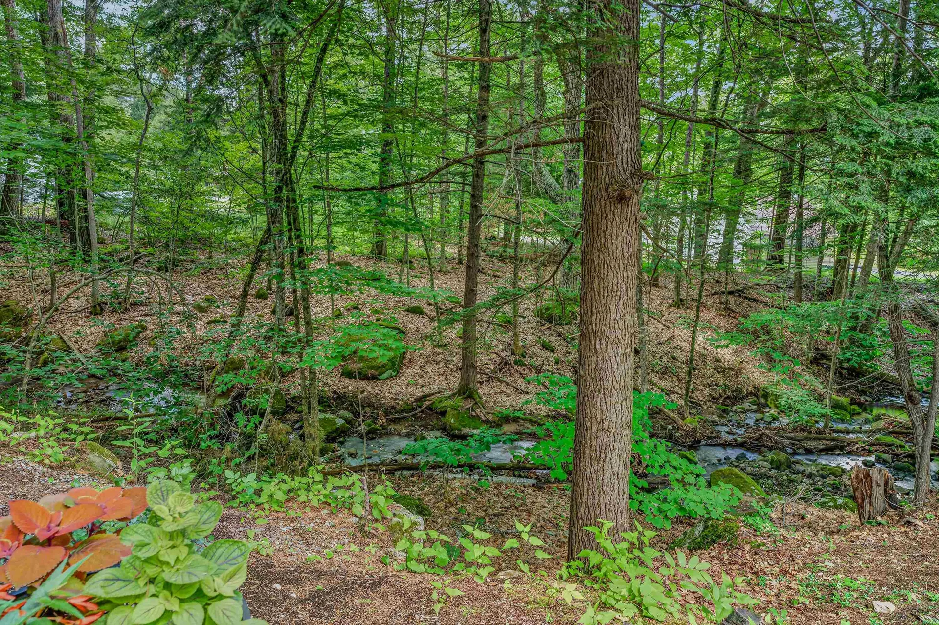 32 Stoney Brook Road Hebron NH 03241