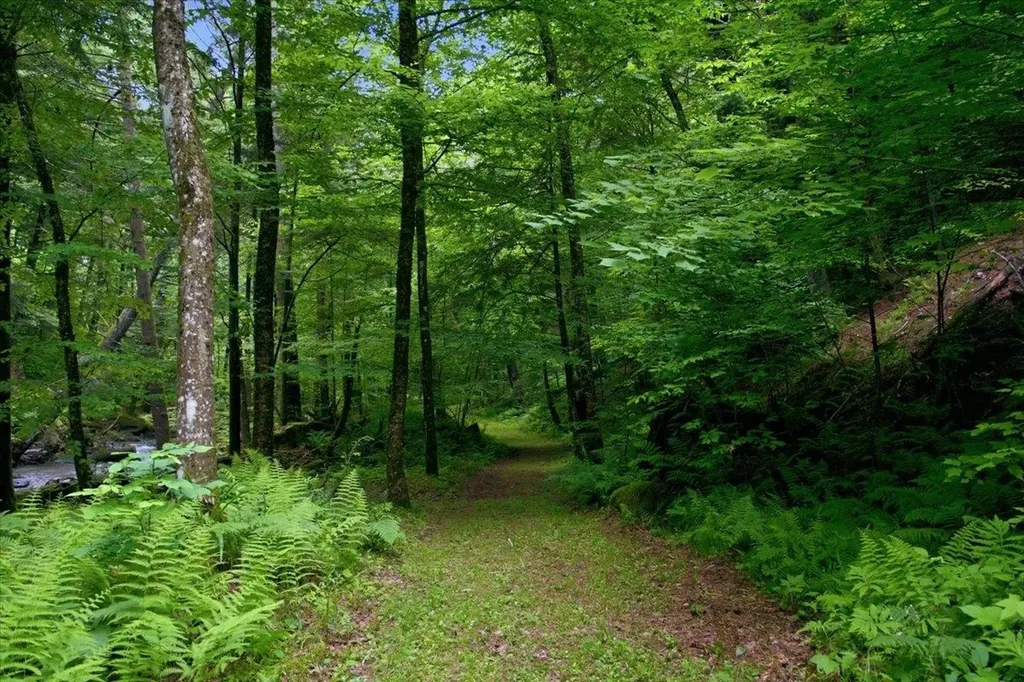110 Spring Hill Lane Starksboro VT 05733