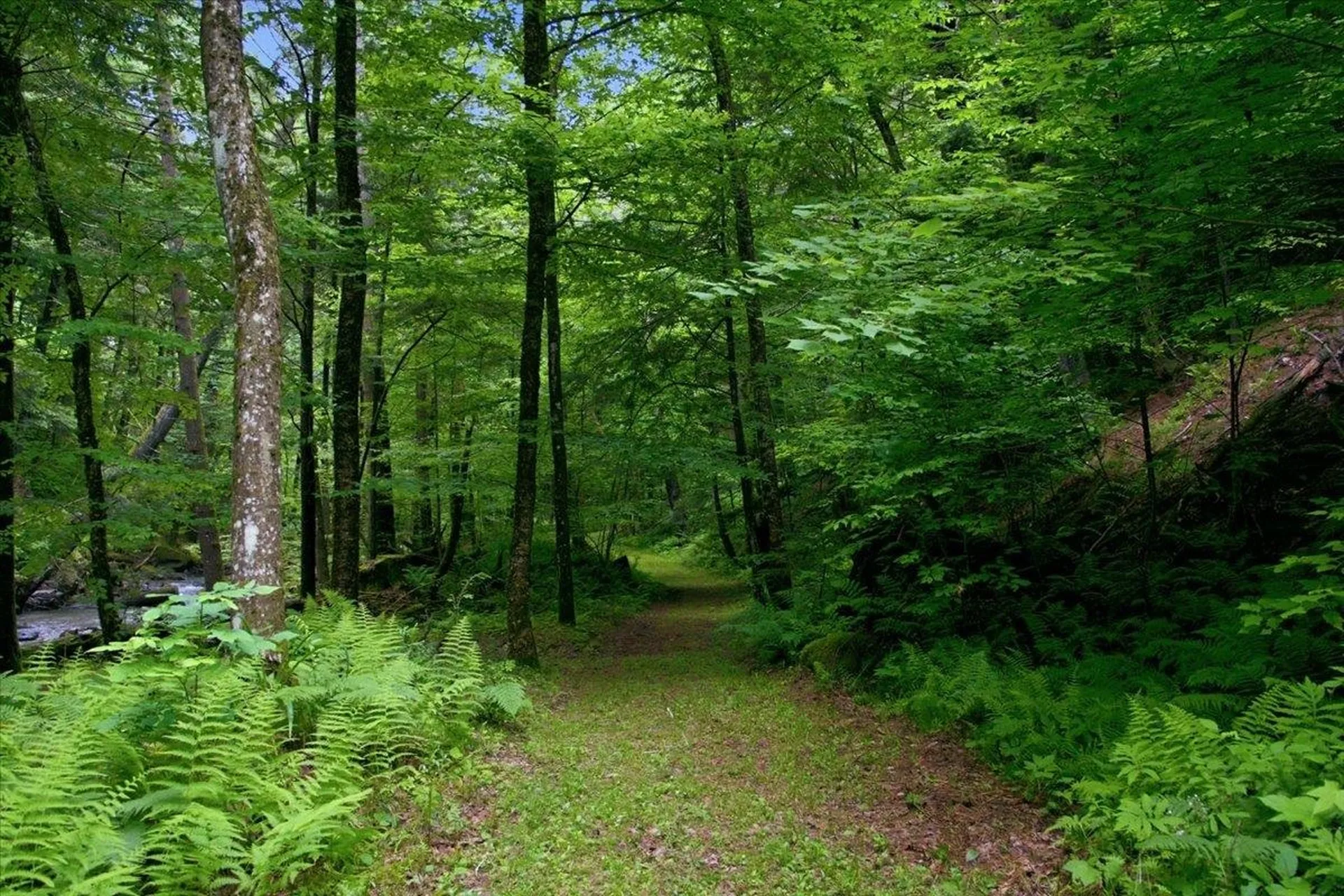 110 Spring Hill Lane Starksboro VT 05733