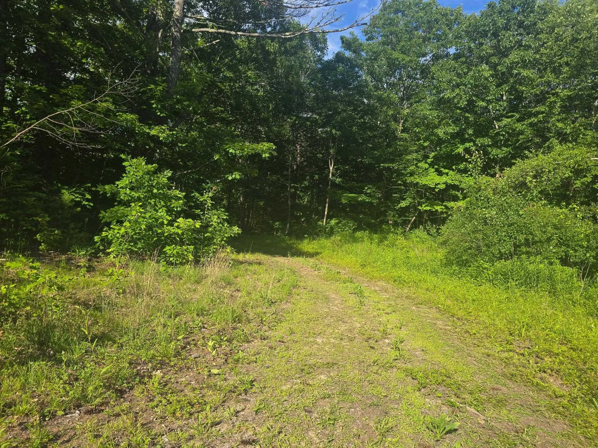 0 West Salisbury Road Salisbury NH 03268