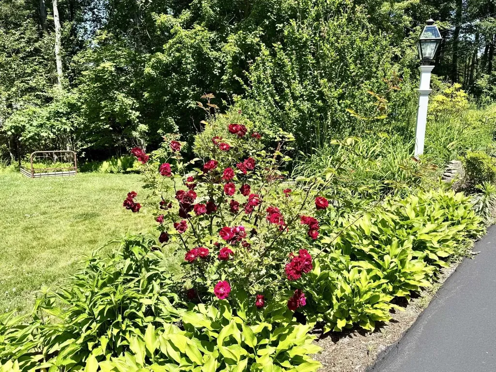78 Wellington Drive Chesterfield NH 03462