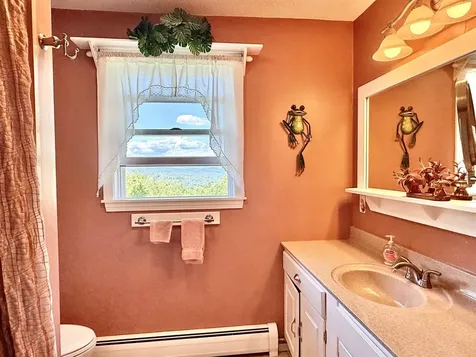 78 Wellington Drive Chesterfield NH 03462