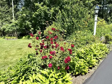 78 Wellington Drive Chesterfield NH 03462