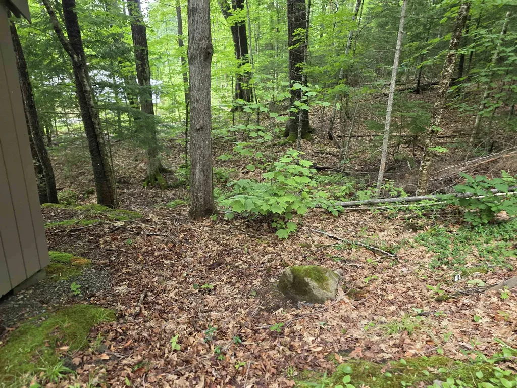 429 Perch Pond Road Campton NH 03223