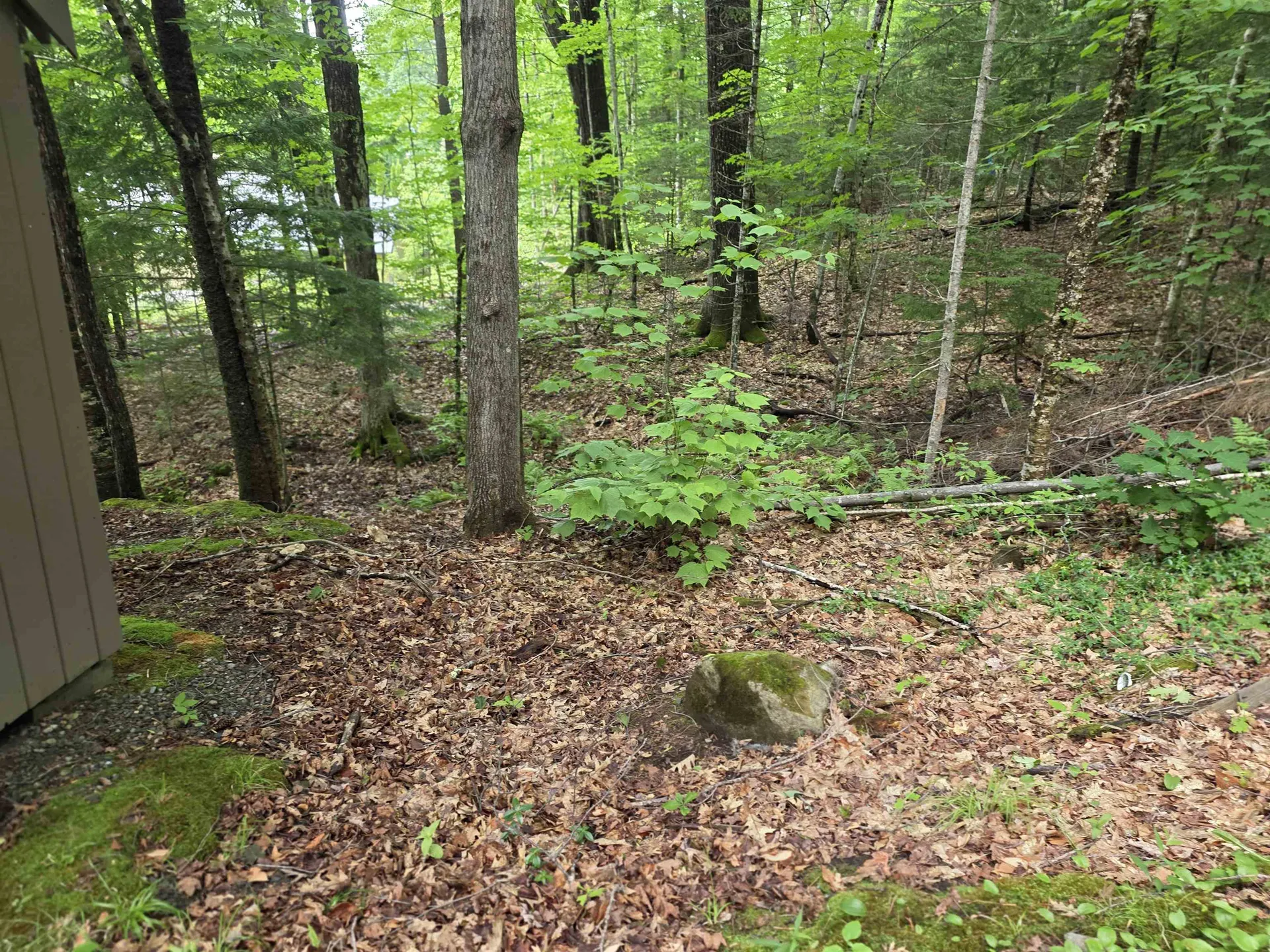 429 Perch Pond Road Campton NH 03223