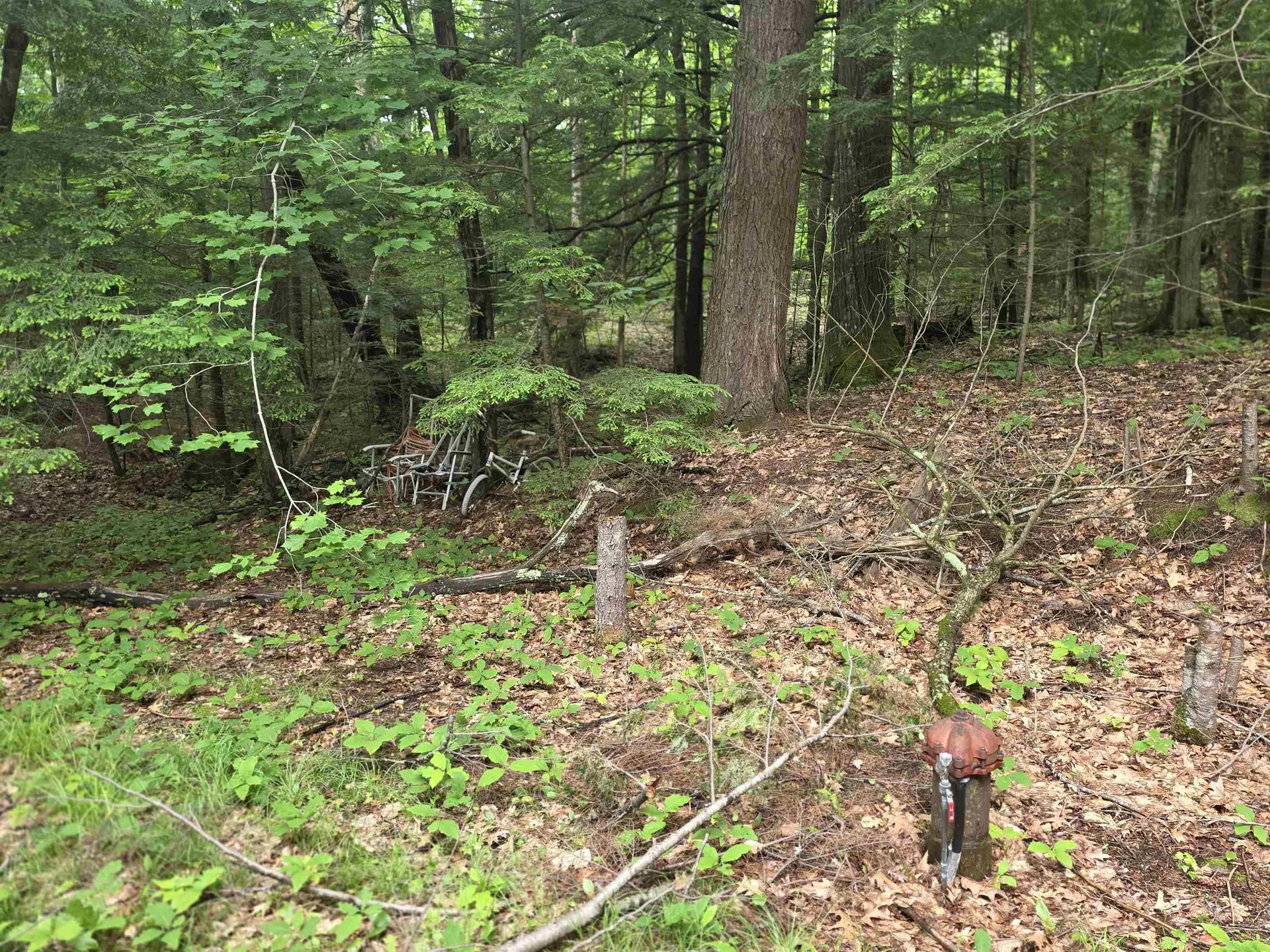 429 Perch Pond Road Campton NH 03223