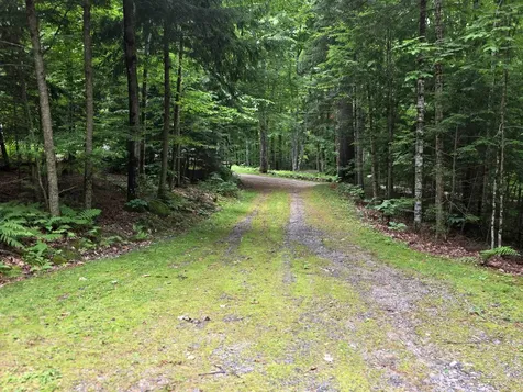 429 Perch Pond Road Campton NH 03223