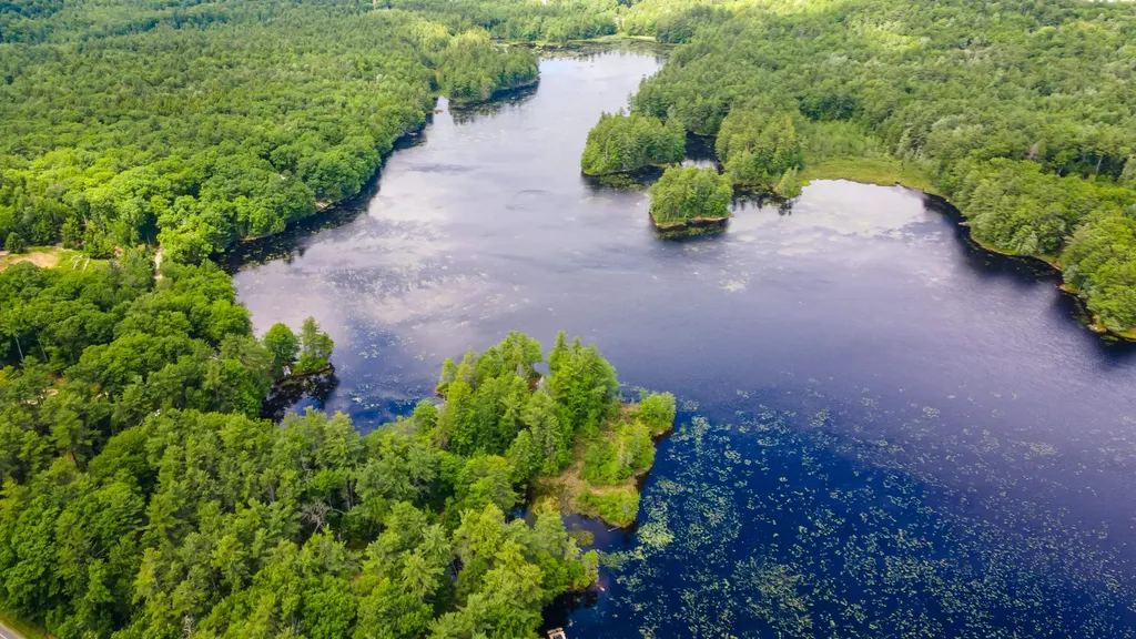 14 Sandy Cove Road Rindge NH 03461