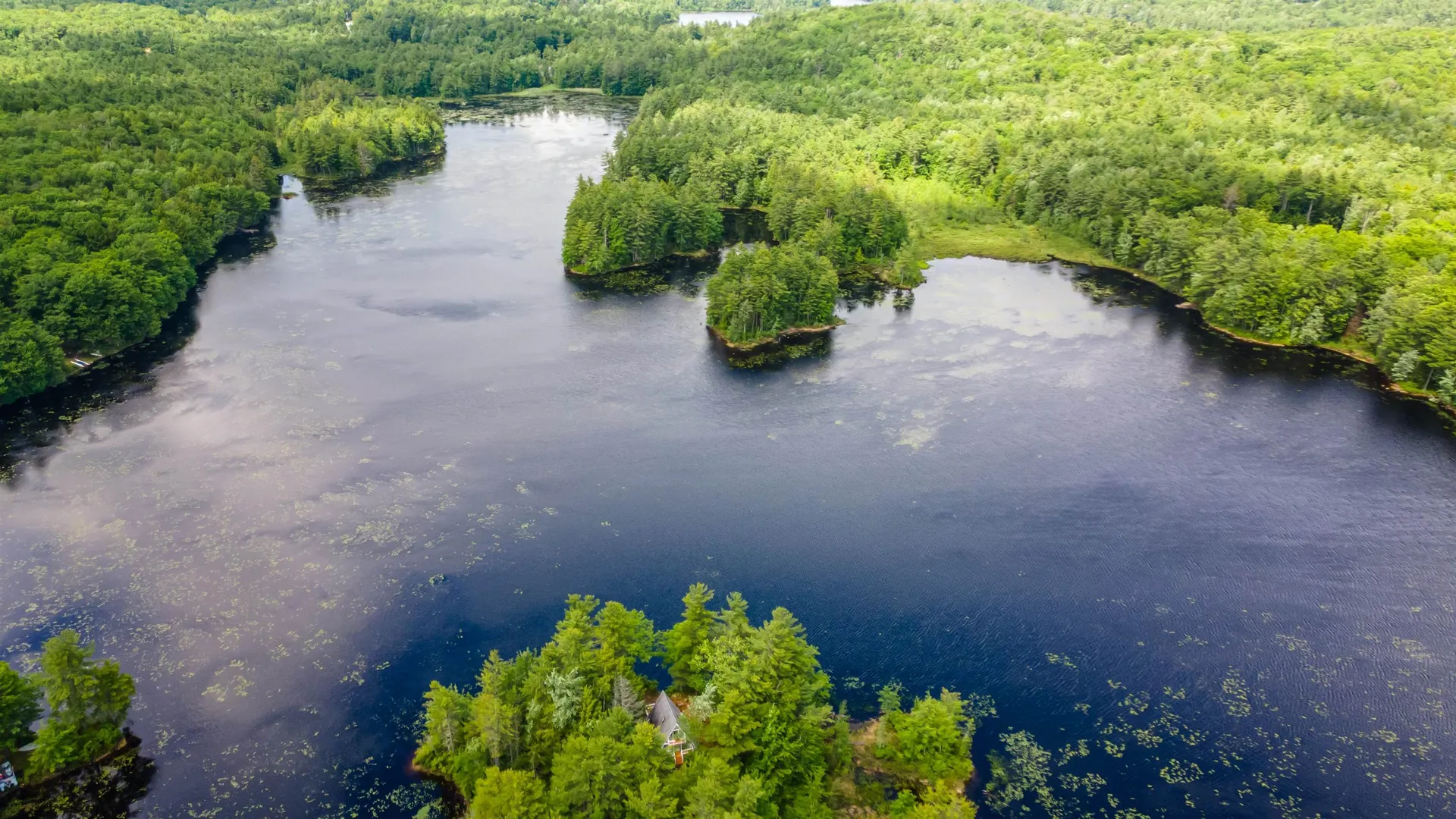 14 Sandy Cove Road Rindge NH 03461
