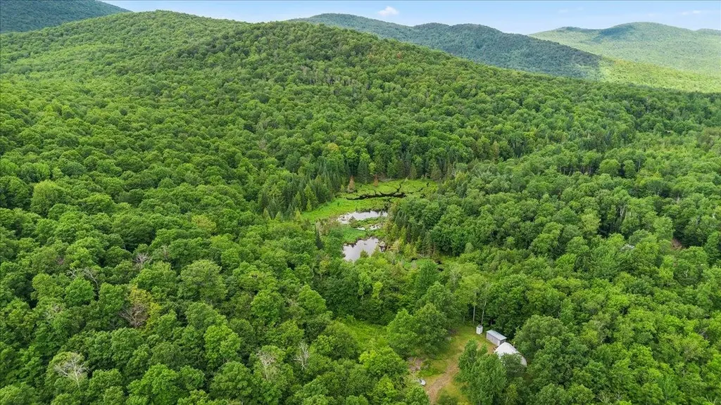 801 Deep Gibou Road Montgomery VT 05470