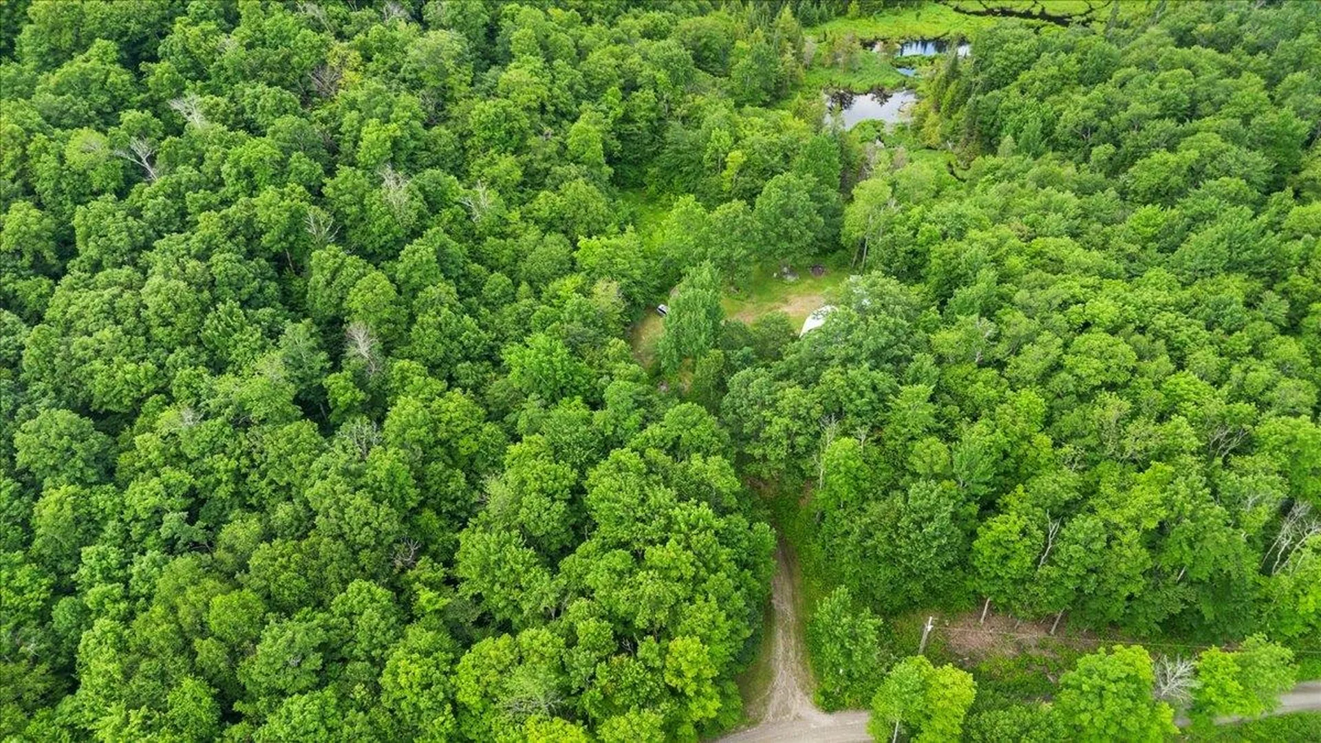 801 Deep Gibou Road Montgomery VT 05470