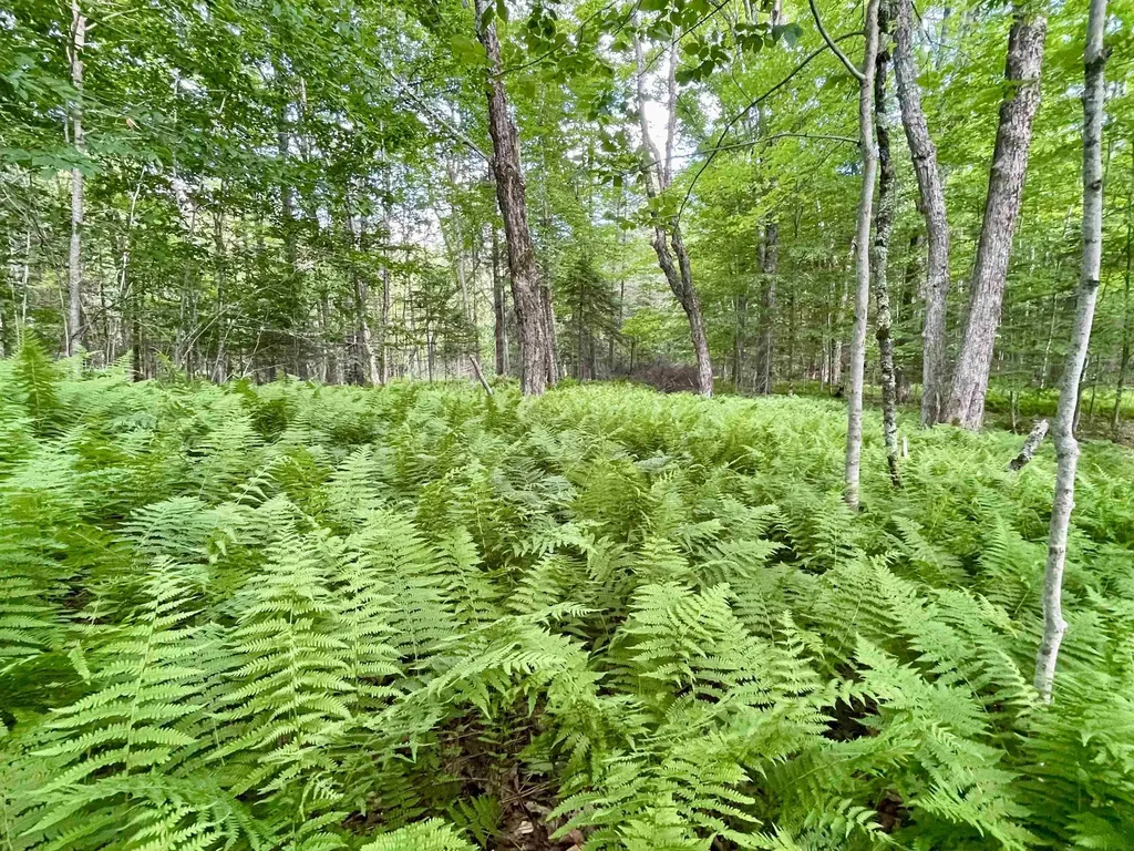 00 Old Farm Road Burke VT 05871