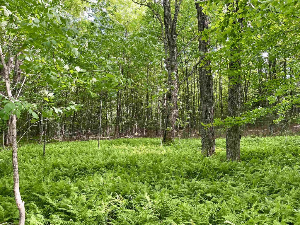 00 Old Farm Road Burke VT 05871