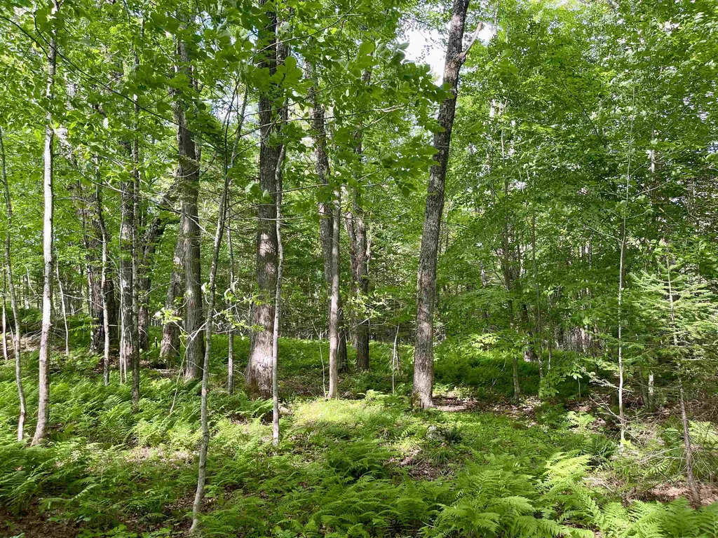00 Old Farm Road Burke VT 05871