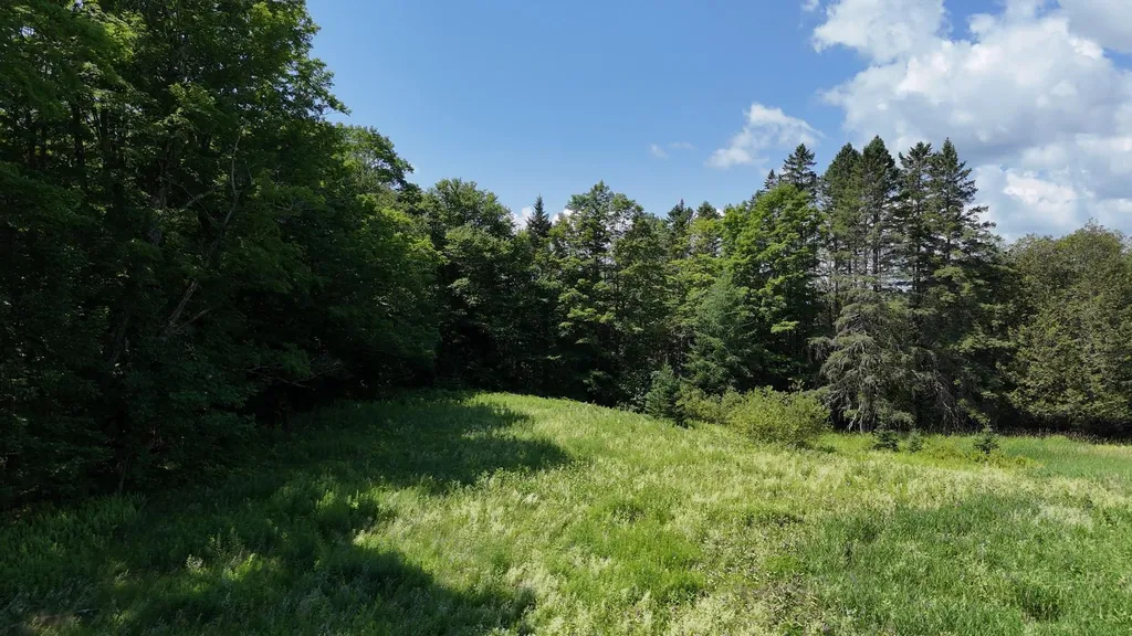 00 Old Farm Road Burke VT 05871