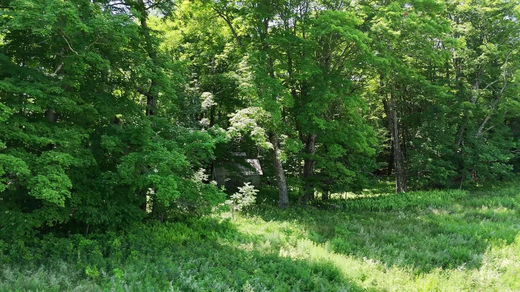 00 Old Farm Road Burke VT 05871