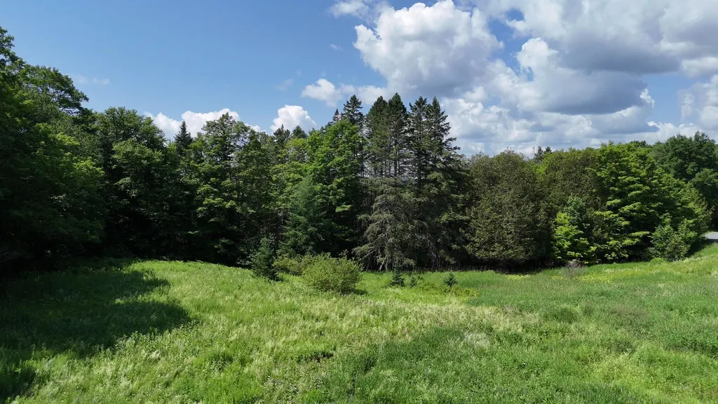 00 Old Farm Road Burke VT 05871