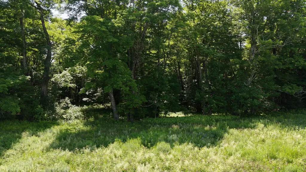 00 Old Farm Road Burke VT 05871