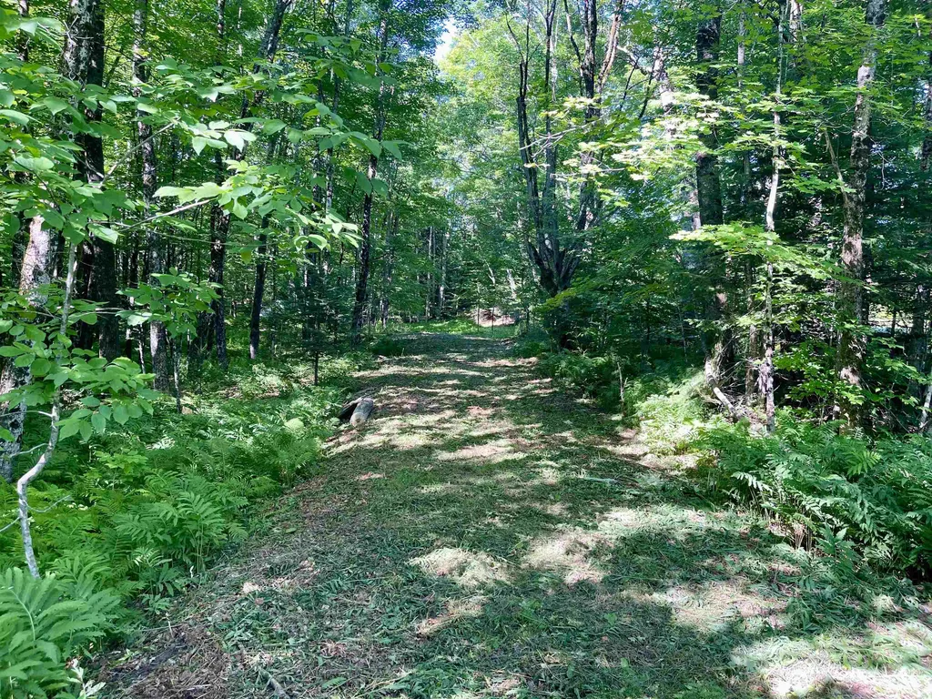 00 Old Farm Road Burke VT 05871