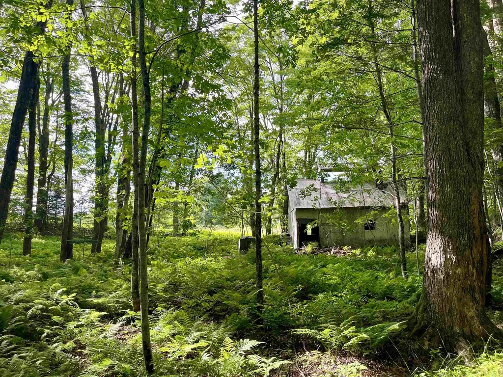 00 Old Farm Road Burke VT 05871