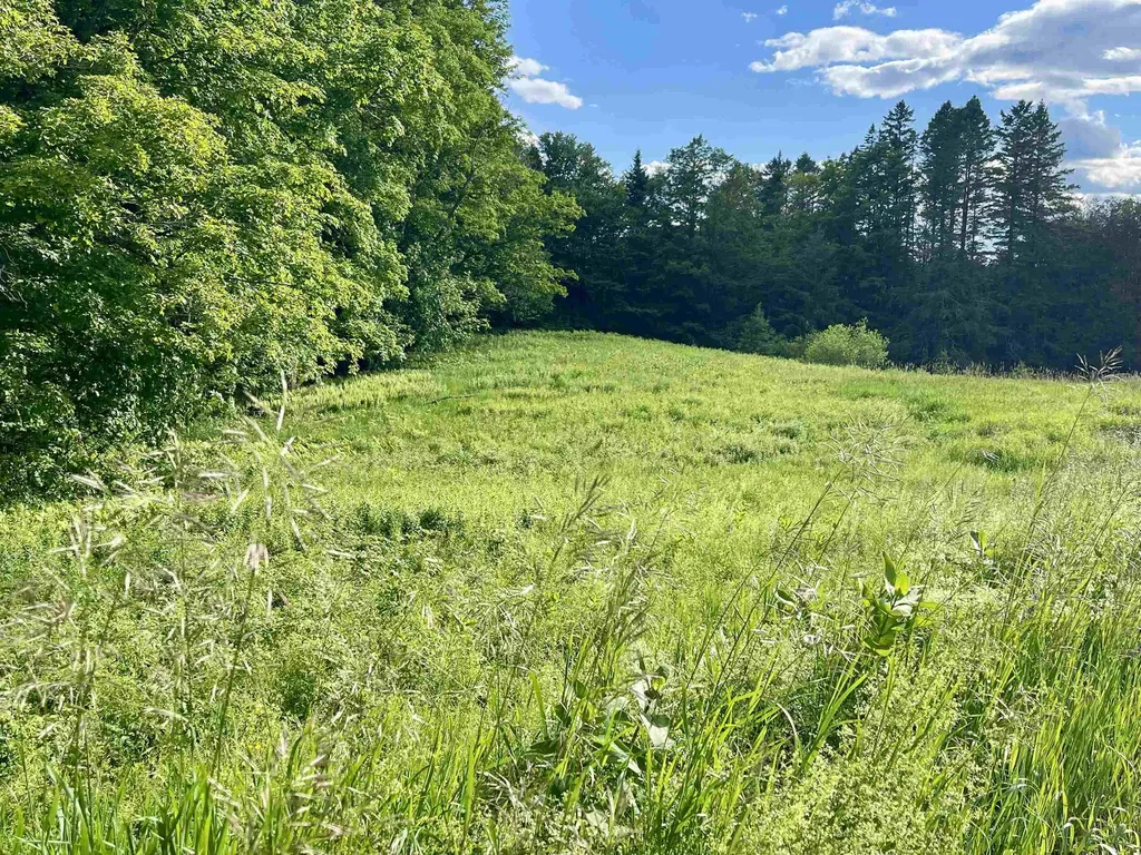 00 Old Farm Road Burke VT 05871