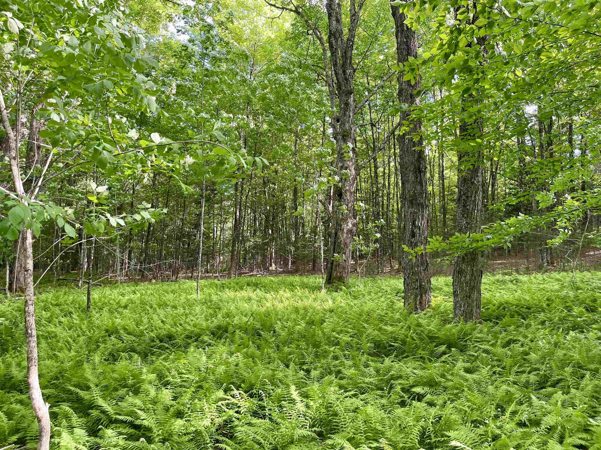 00 Old Farm Road Burke VT 05871