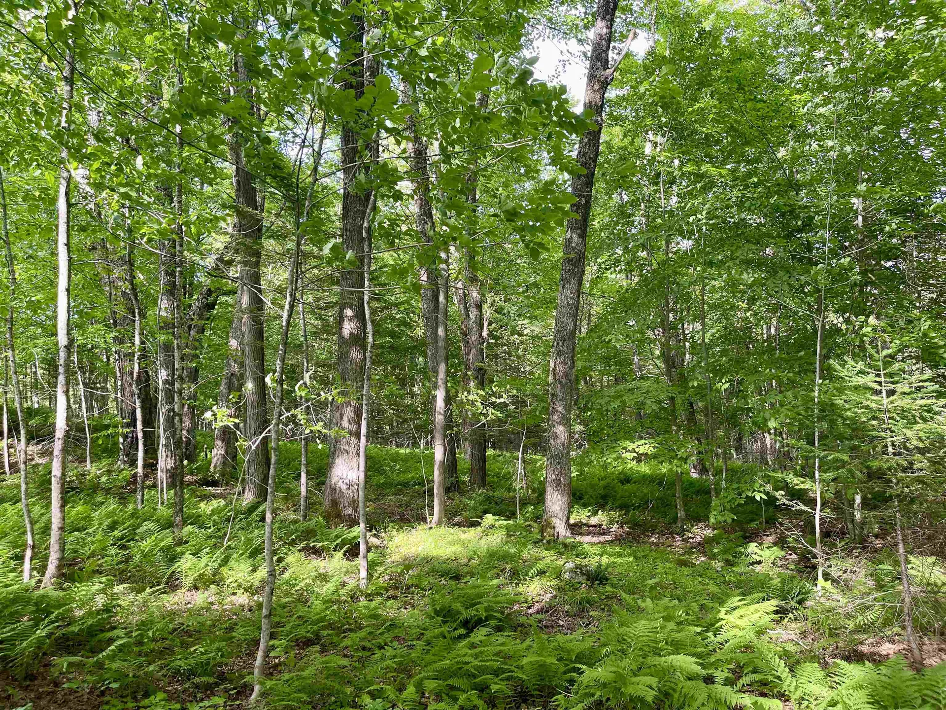 00 Old Farm Road Burke VT 05871