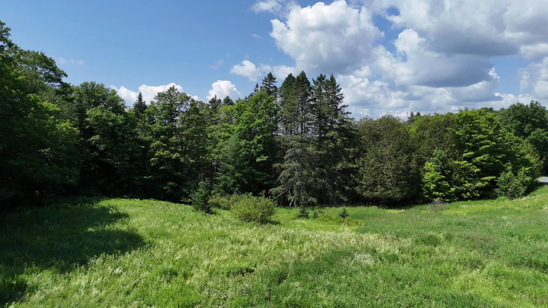 00 Old Farm Road Burke VT 05871