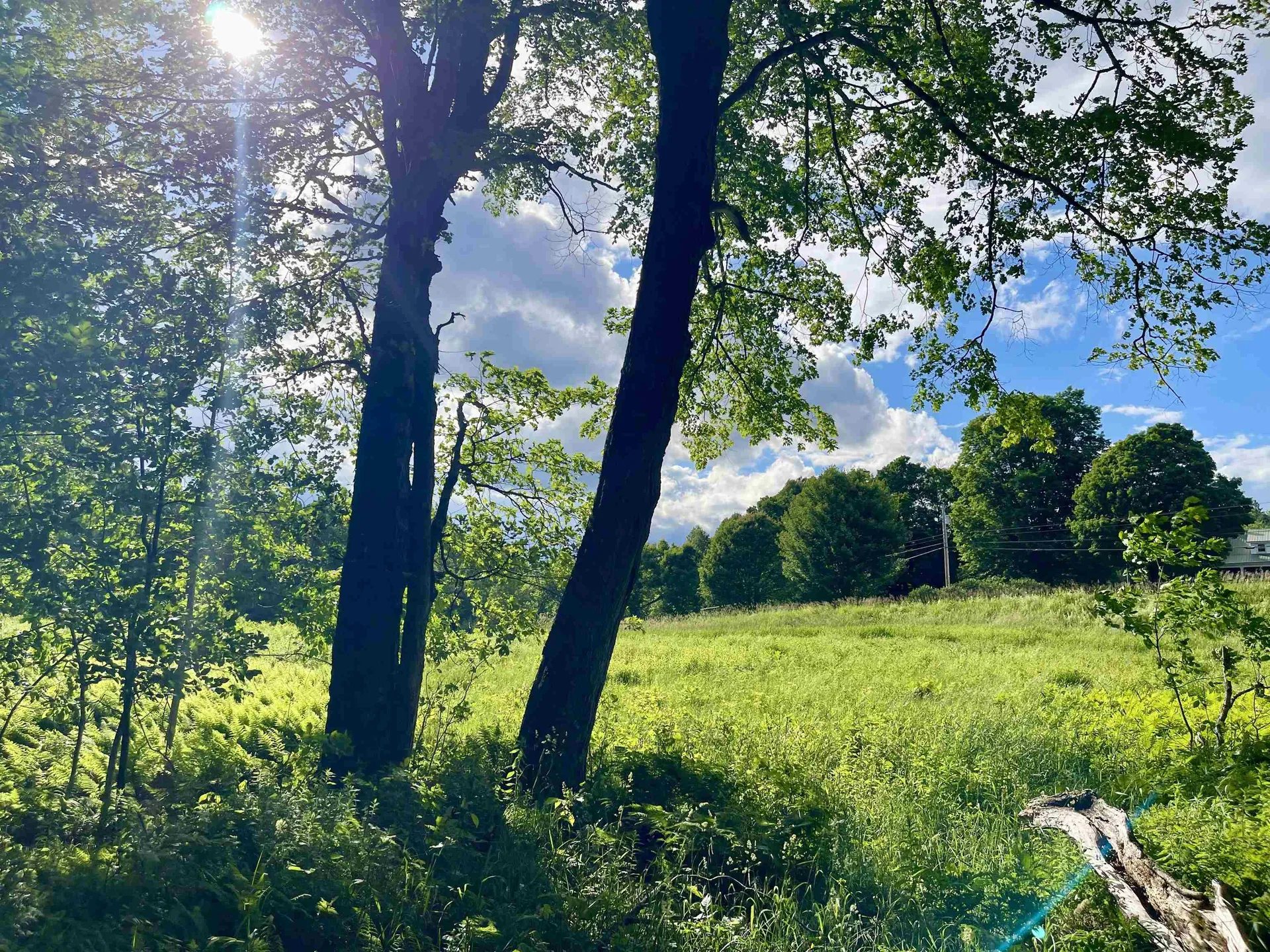 00 Old Farm Road Burke VT 05871
