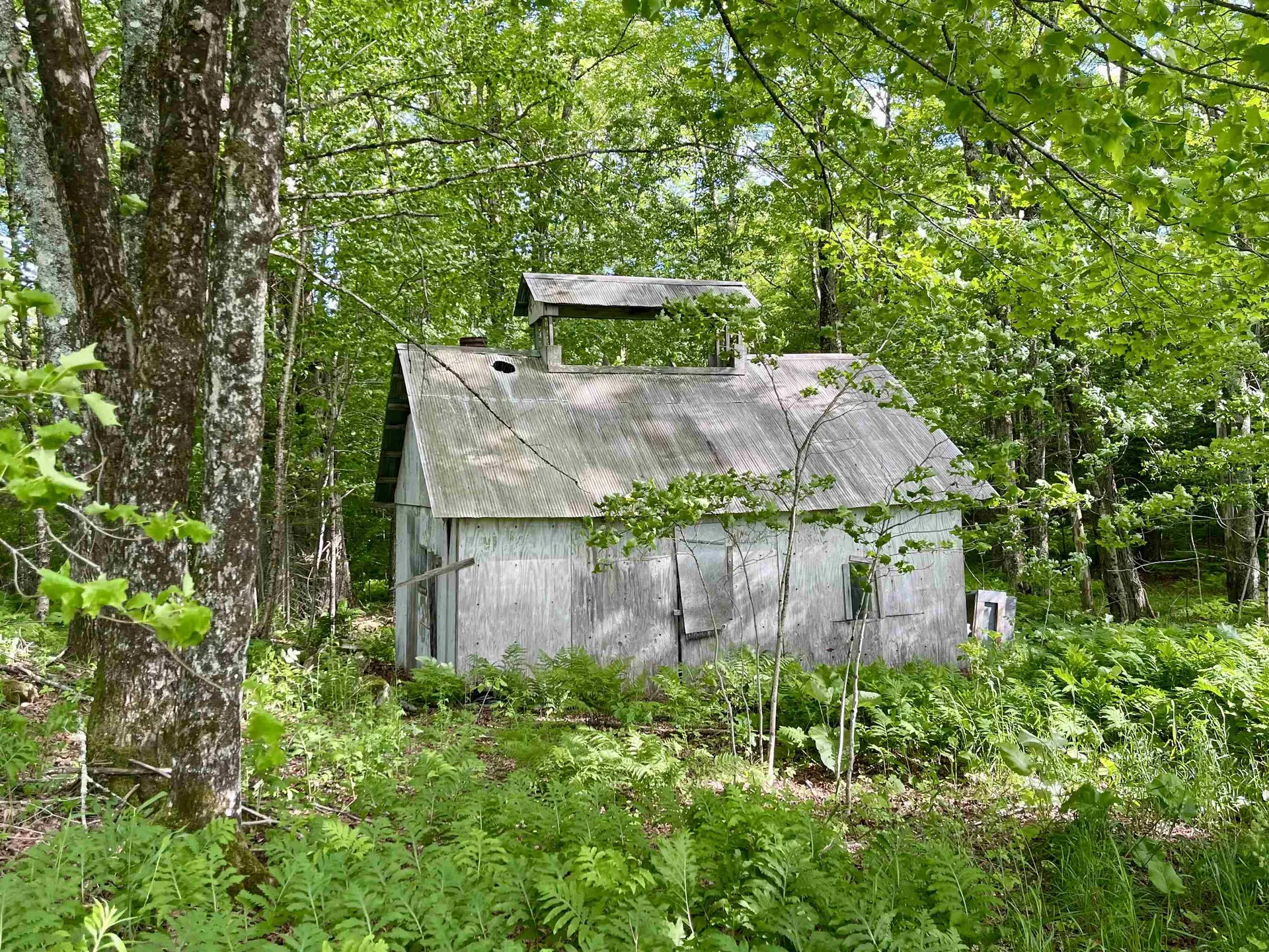 00 Old Farm Road Burke VT 05871